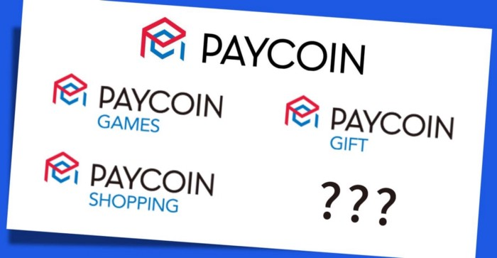 从游戏到商业，Paycoin打造虚拟世界支付帝国