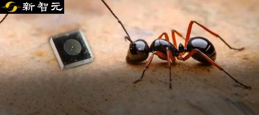 这只「蚂蚁」能拍照！普林斯顿造出微米级相机，个头缩小到50万分之一